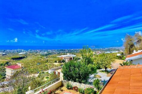 Property Image 22