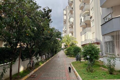 Property Image 22