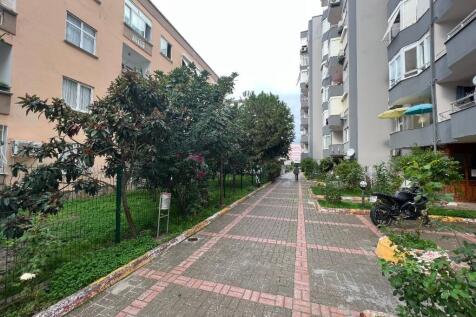 Property Image 23