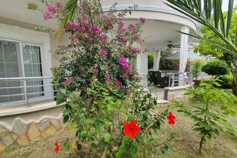 Property Image 23