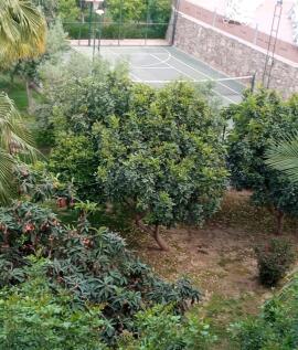 Property Image 26
