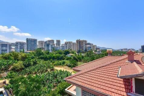 Property Image 35