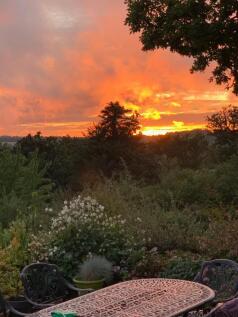 IMG_1765.jpeg