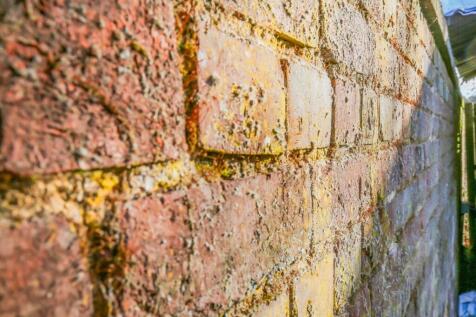 1580295663 - The Walled Garden KT20 - 34.jpg