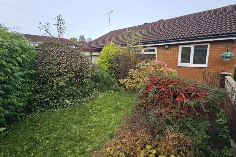 IMG-20251030-WA00...