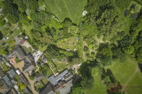 Image 31