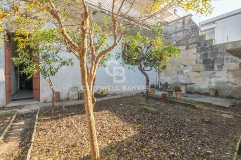 Property Image 65