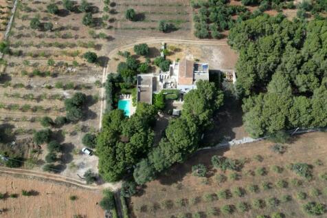 Property Image 84