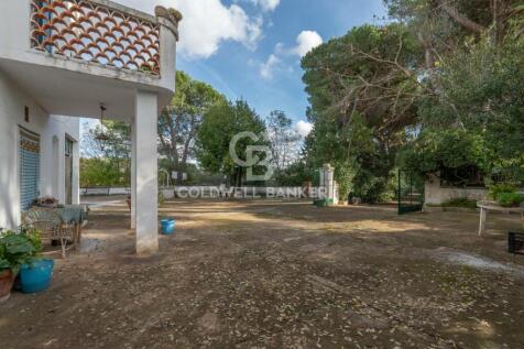 Property Image 43