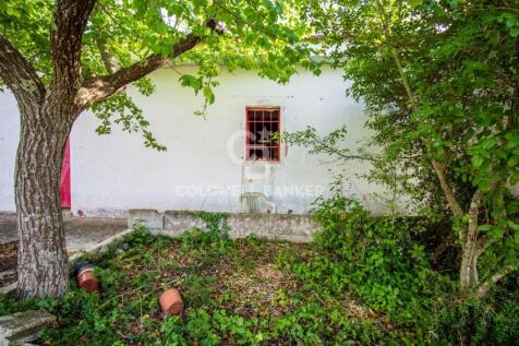 Property Image 46