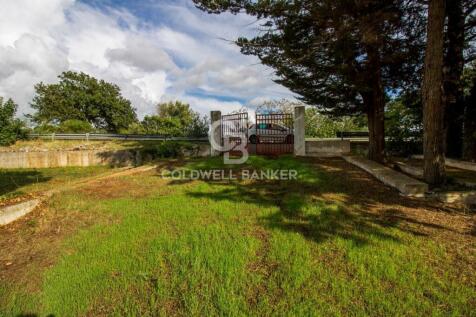 Property Image 81