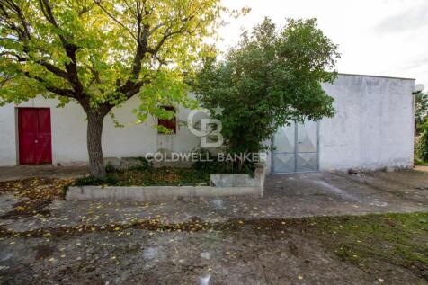 Property Image 61