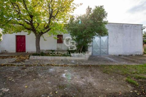Property Image 63