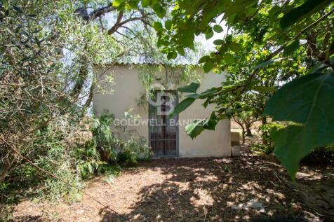 Property Image 65