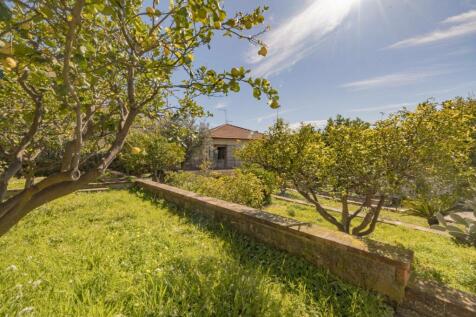 Property Image 58