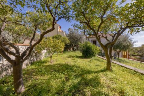Property Image 60