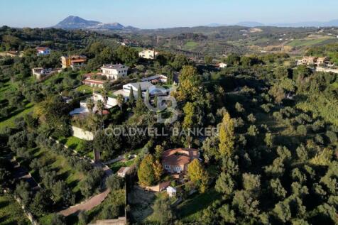Property Image 56
