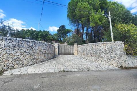 Property Image 43