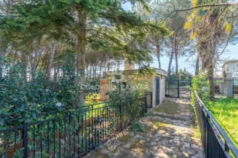 Property Image 45