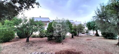 Property Image 21