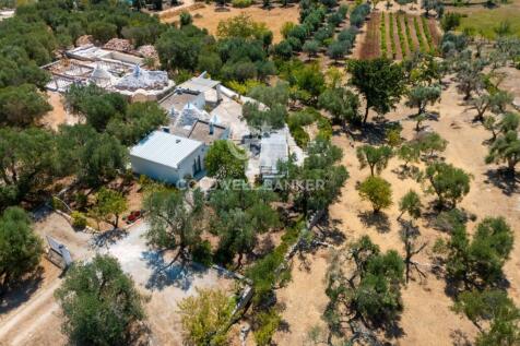 Property Image 63