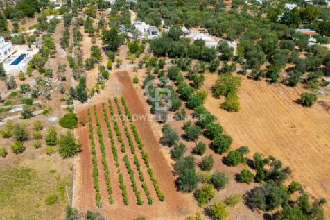 Property Image 65
