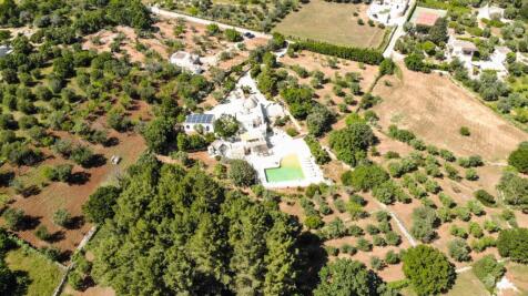 Property Image 22