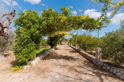 Property Image 29