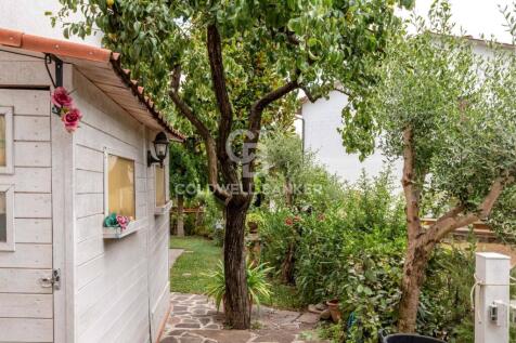 Property Image 26