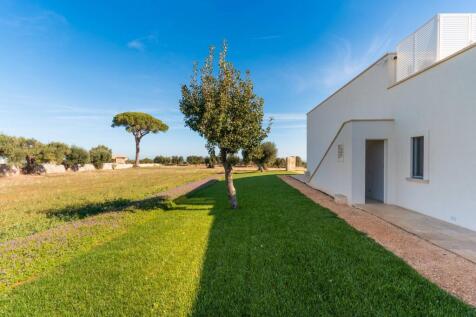 Property Image 61