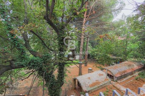 Property Image 60