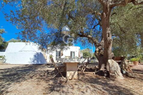 Property Image 36