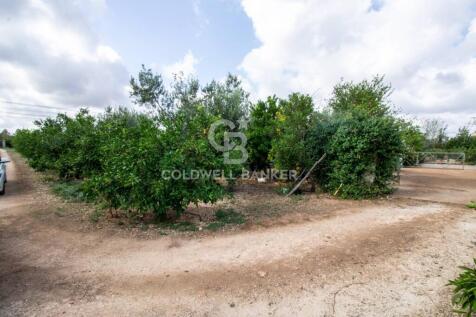 Property Image 60