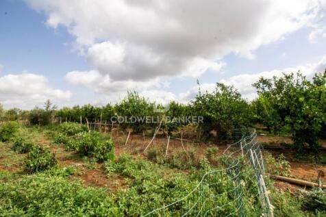 Property Image 62