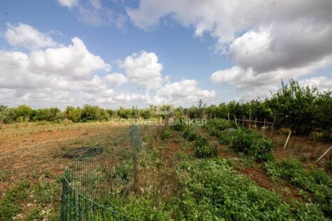 Property Image 63
