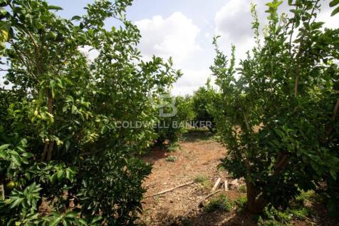 Property Image 64