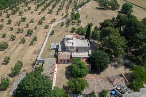 Property Image 38