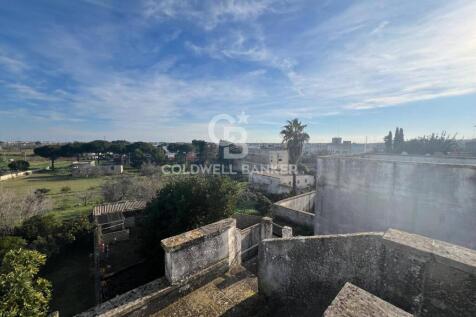 Property Image 34