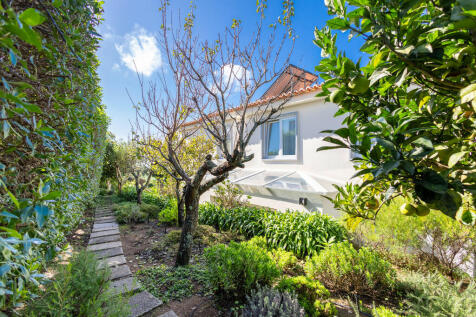 Property Image 75
