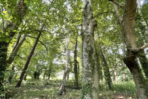 Property Image 36