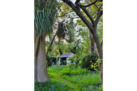 Property Image 54