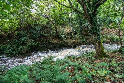 Property Image 51