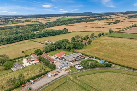 DJI_0184-HDR.jpg