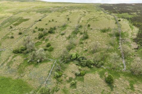LOT 1 - Land at Littondale (360 acres)_0039.jpg