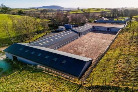 Willowsway Stud,_54-web.jpg