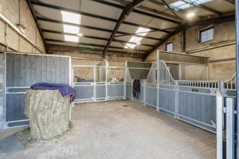 Willowsway Stud,_75-web.jpg