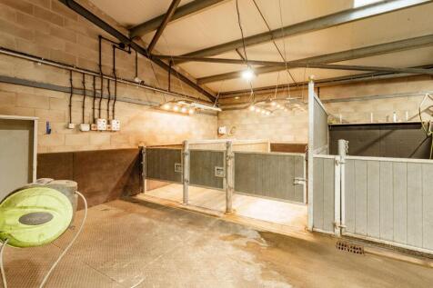 Willowsway Stud,_77-web.jpg
