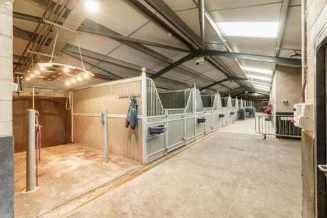 Willowsway Stud,_81-web.jpg