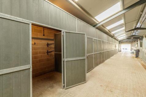 Willowsway Stud,_84-web.jpg