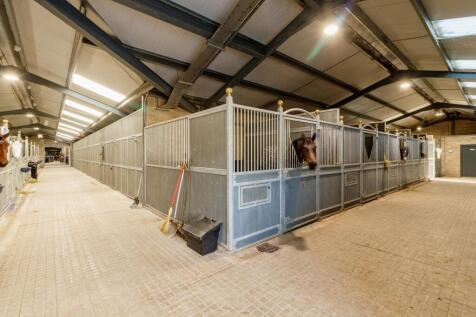 Willowsway Stud,_85-web.jpg